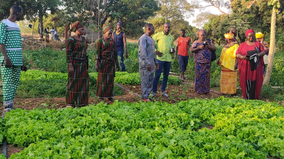 Bobo : l&rsquo;UITA-Burkina œuvre pour la bonne intégration des femmes déplacées dans la&nbsp;maraicheculture